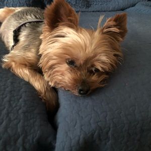 Meet your Posher, Kathy